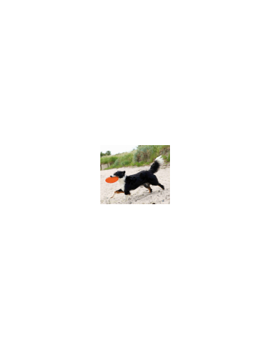 Dog Disc en TPR, Frisbee flottant Trixie ø 22 cm
