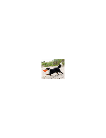 Dog Disc en TPR, Frisbee flottant Trixie ø 22 cm