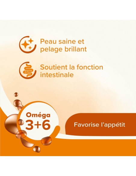 Graisse de mouton pour chien  Béaphar