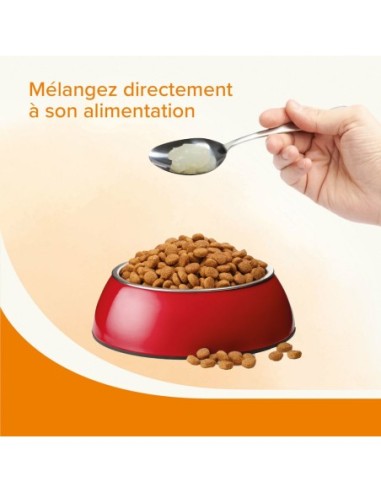 Graisse de mouton pour chien  Béaphar