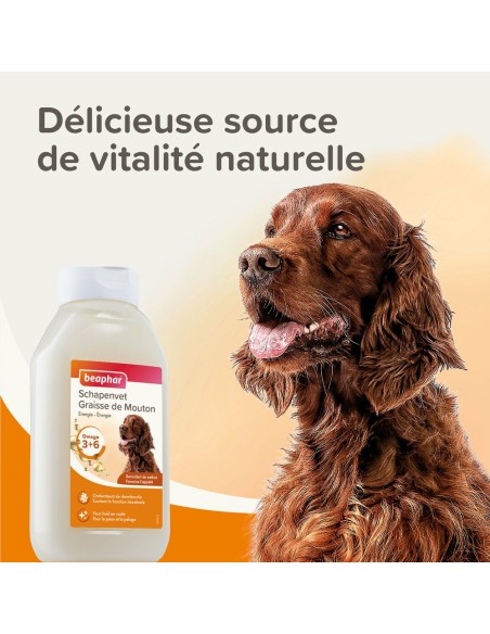 Graisse de mouton pour chien  Béaphar