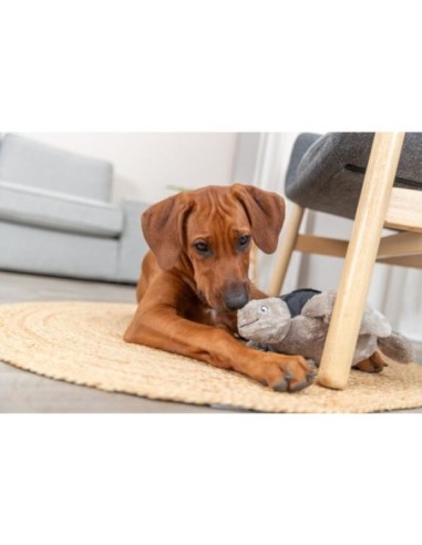 Tortue Hauke BE NORDIC - Trixie