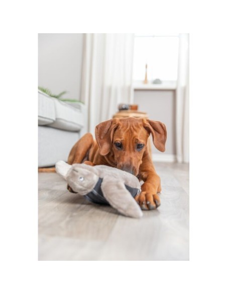 Tortue Hauke BE NORDIC - Trixie