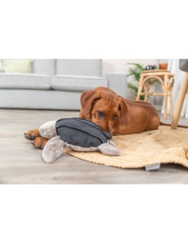 Tortue Hauke BE NORDIC - Trixie