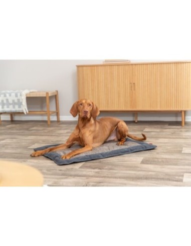 Matelas Föhr BE NORDIC - Trixie