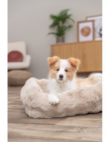 Lit Elli pour chien couleur Sable - Trixie