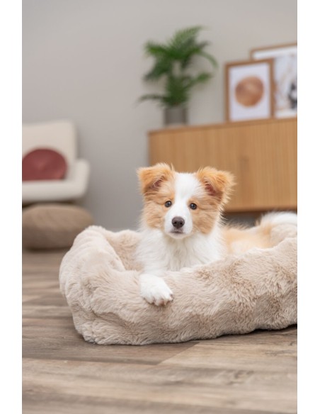 Lit Elli pour chien couleur Sable - Trixie