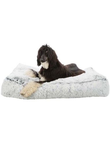 Coussin Harvey - grand confort - déhoussable