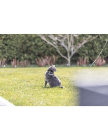 Harnais réglable avec laisse pour Chat - Trixie