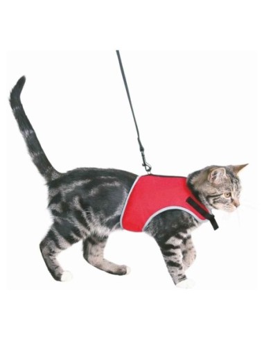 Parure pour Chat Harnais et Laisse Extensible coloris assortis