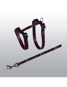 Harnais chaton ou petit chat avec laisse 2