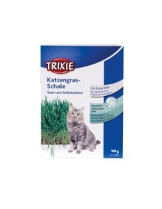 Graines pour herbe à chat 100grammes