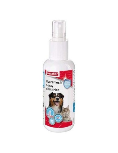 Spray dentifrice pour chien et chat