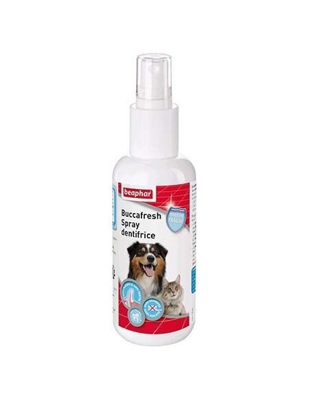 Spray dentifrice pour chien et chat