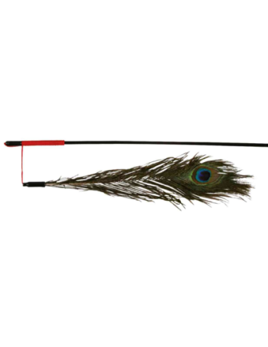 canne à pêche avec plume de paon