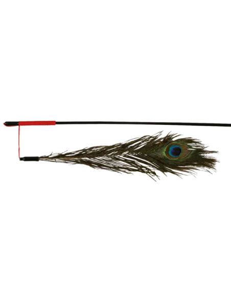 canne à pêche avec plume de paon