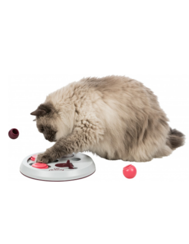 Jeu Flip Board Cat Activity