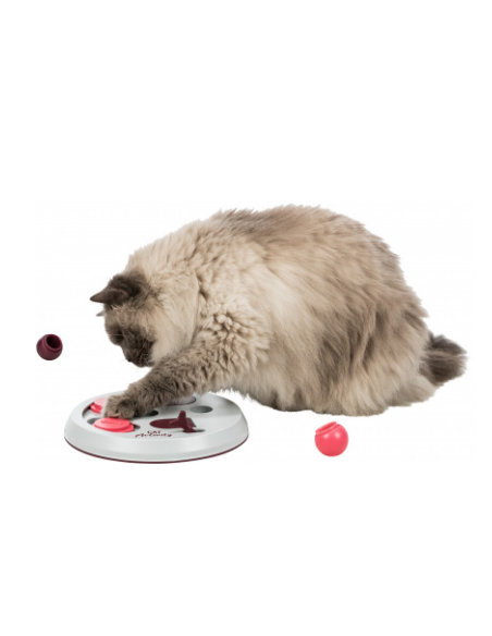 Jeu Flip Board Cat Activity