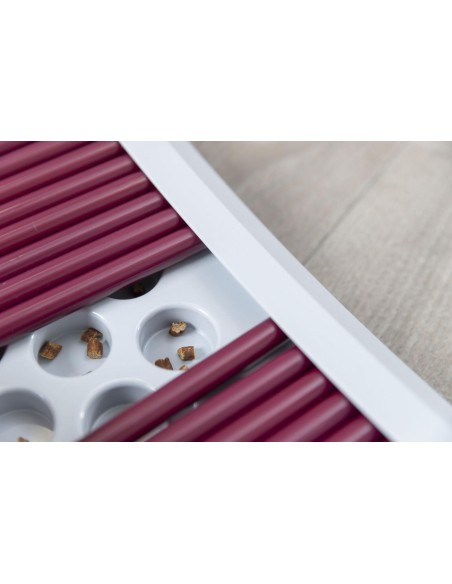 Jeu de reflexion PLATEAU ANTI-GLOUTON Rod Board Trixie - jeu pour chats