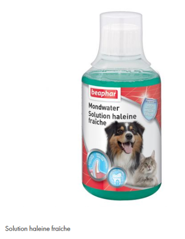 BEAPHAR Solution haleine fraîche pour chien et chat