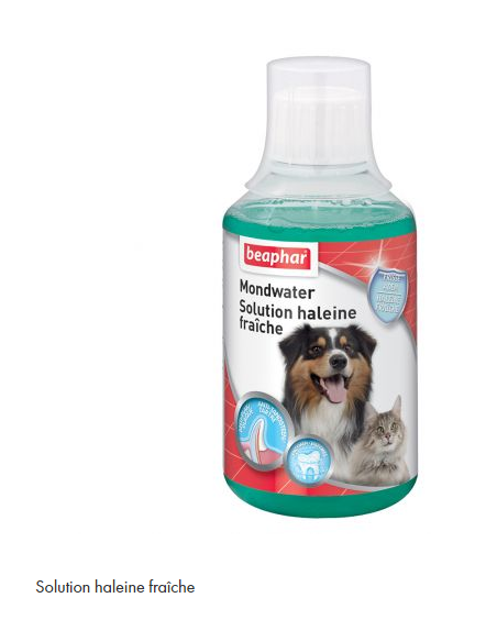 BEAPHAR Solution haleine fraîche pour chien et chat