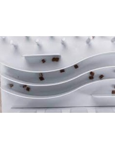 Fun Board Jeux de stratégie pour chat 2