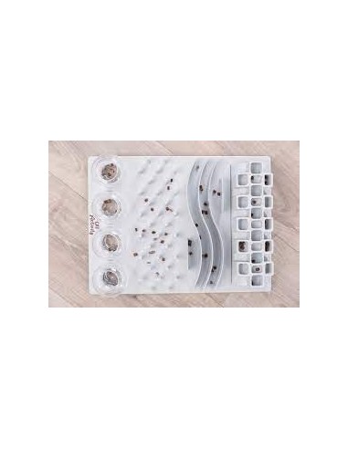 Fun Board Jeux de stratégie pour chat