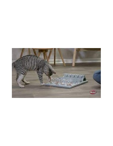 Fun Board Jeux de stratégie pour chat