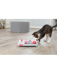 Brain Mover Jeux de stratégie chat