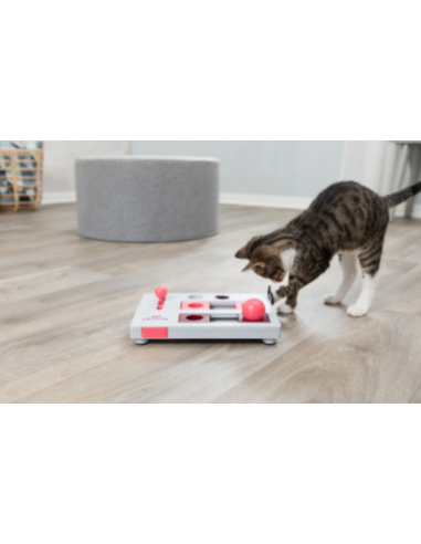 Brain Mover Jeux de stratégie chat