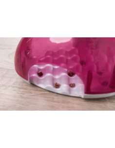 Snack Box Jeux de stratégie 2