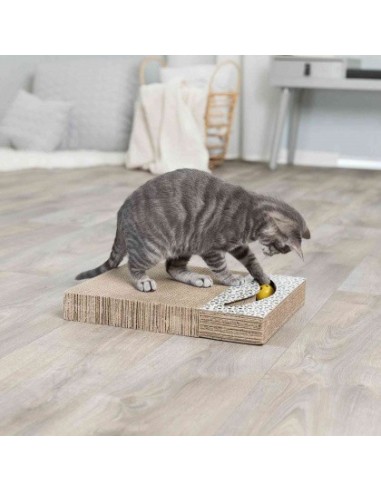 Griffoir carton avec balles de jeu