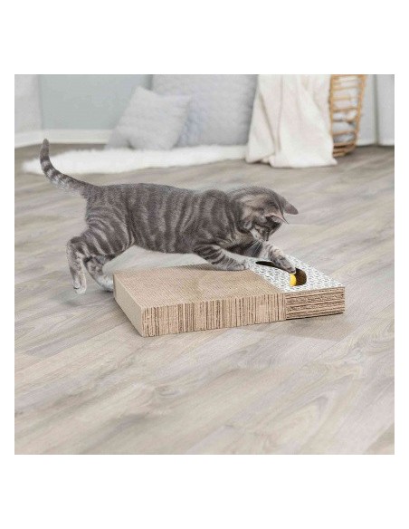 Griffoir carton avec balles de jeu