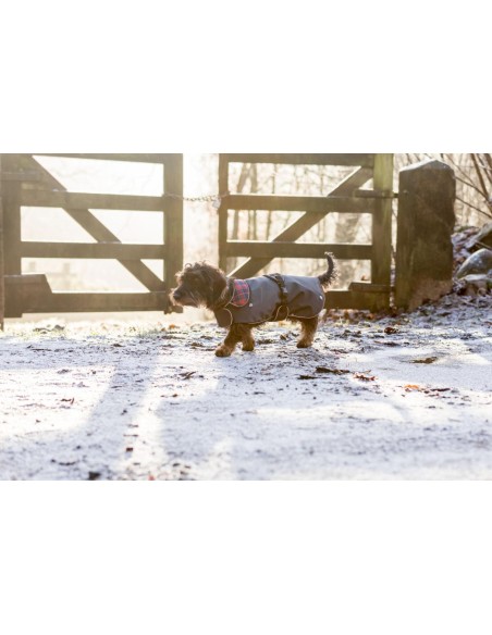 Manteau Herny 2 en 1 - pour les chiens minces et longs