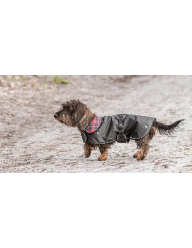 Manteau Herny 2 en 1 - pour les chiens minces et longs