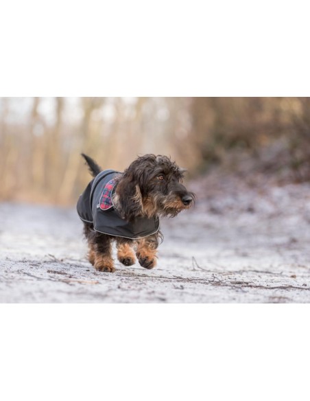 Manteau Herny 2 en 1 - pour les chiens minces et longs