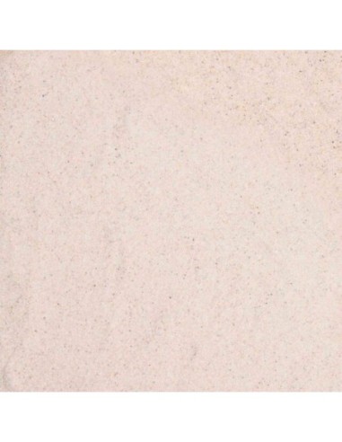 Sable blanc pour terrarium désertique