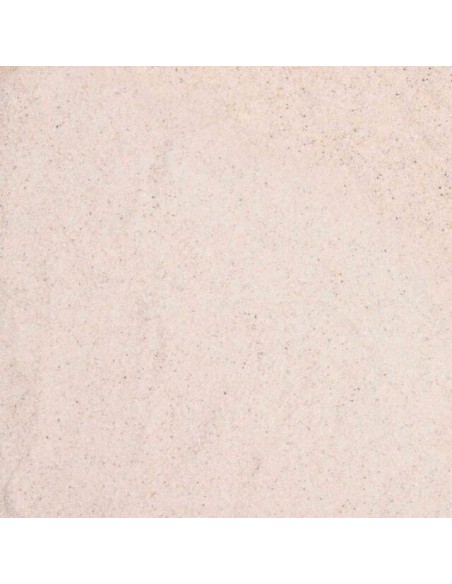 Sable blanc pour terrarium désertique