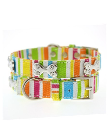 Collier Urban Pup Striped Neon Canvas Diamante Bone