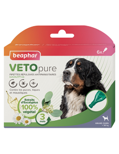 Pipettes répulsives antiparasitaires à l'Eucalyptus pour grand chien plus de 30kg
