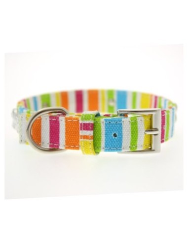Collier Urban Pup Striped Neon Canvas Diamante Bone