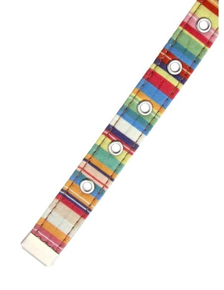 Collier Urban Pup Henley Striped