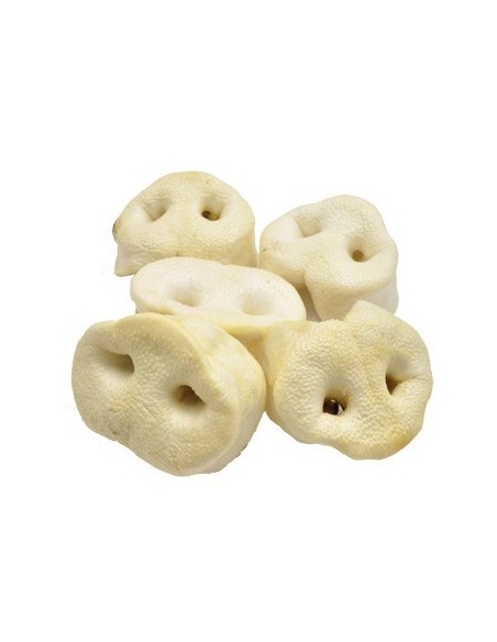 Nez de cochon soufflé - vrac en lot de 5 pièces
