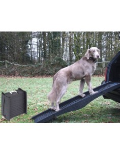 Rampe / Passerelle pour chien