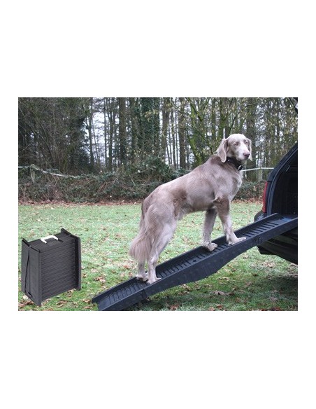 Rampe / Passerelle pour chien