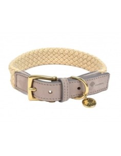 Collier pour chien Tau gris