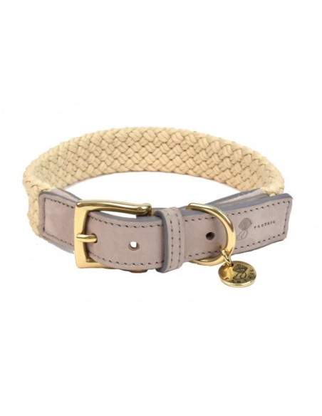 Collier pour chien Tau gris