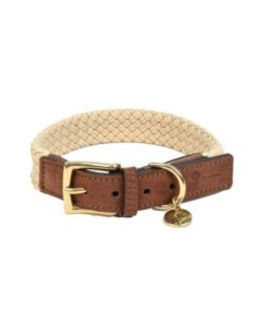 Collier pour chien Tau brun foncé