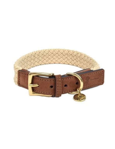 Collier pour chien Tau brun foncé