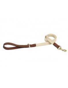 Laisse pour chien Tau brun foncé 120cmx25mm